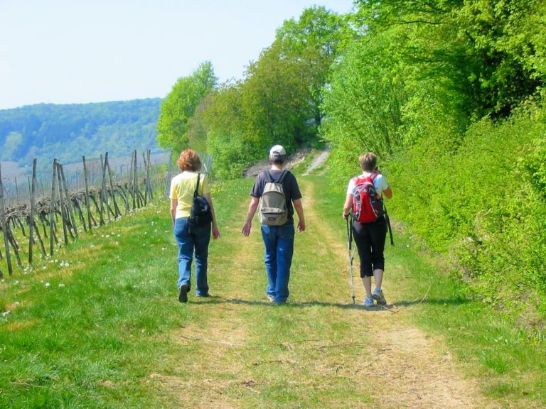 Wandern mit Parkinson
