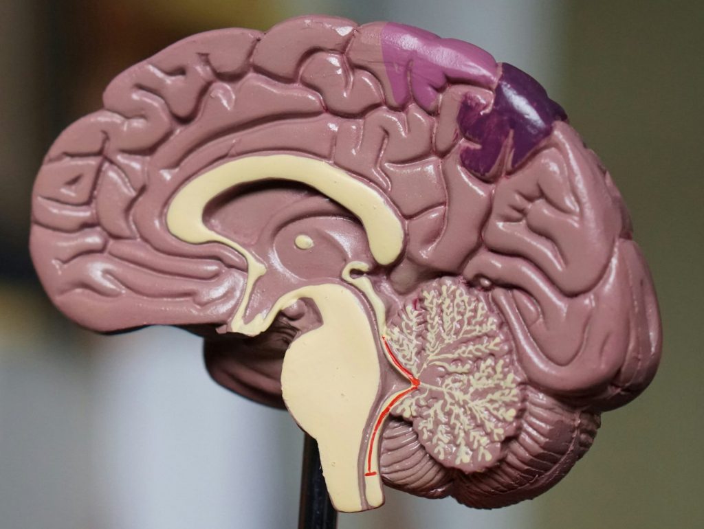 Zum Artikel über adaptive Tiefenhirnstimulation bei Morbus Parkinson